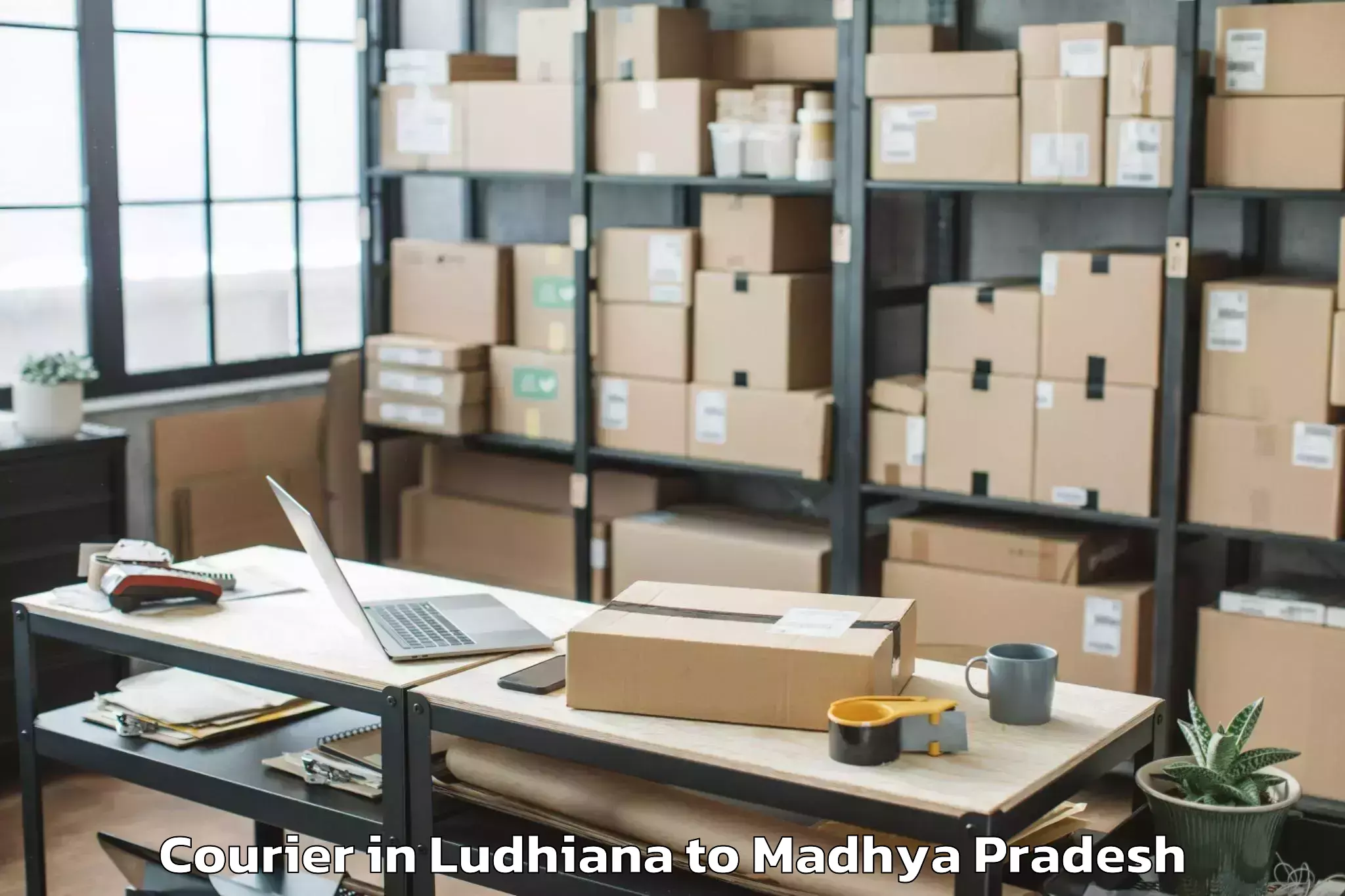 Ludhiana to Madhyanchal Professional Unive Courier Booking